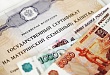 Двадцать тысяч рублей из средств материнского капитала – на повседневные нужды